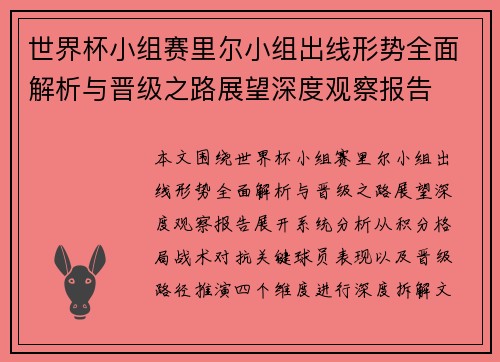 世界杯小组赛里尔小组出线形势全面解析与晋级之路展望深度观察报告